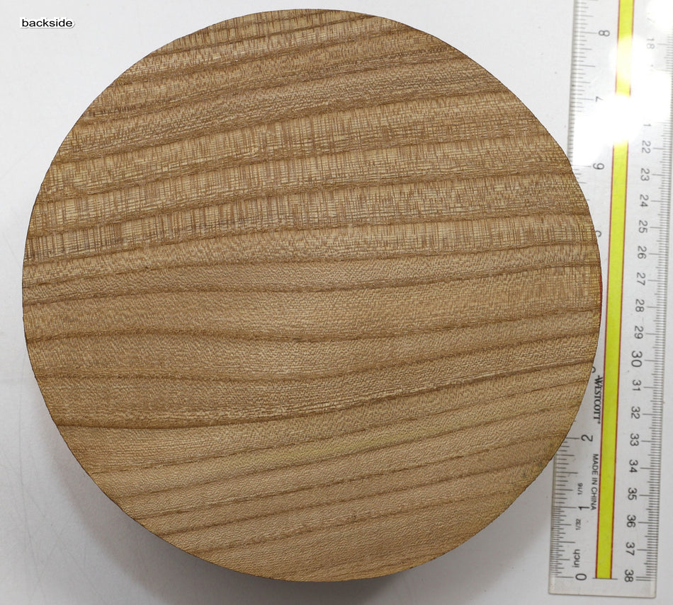 Red Elm Round 7" diameter x 3.7" - Stock# 6-1492