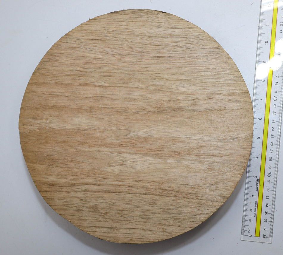 Walnut (Butternut) Round 11" diameter x 3" - Stock# 6-5446