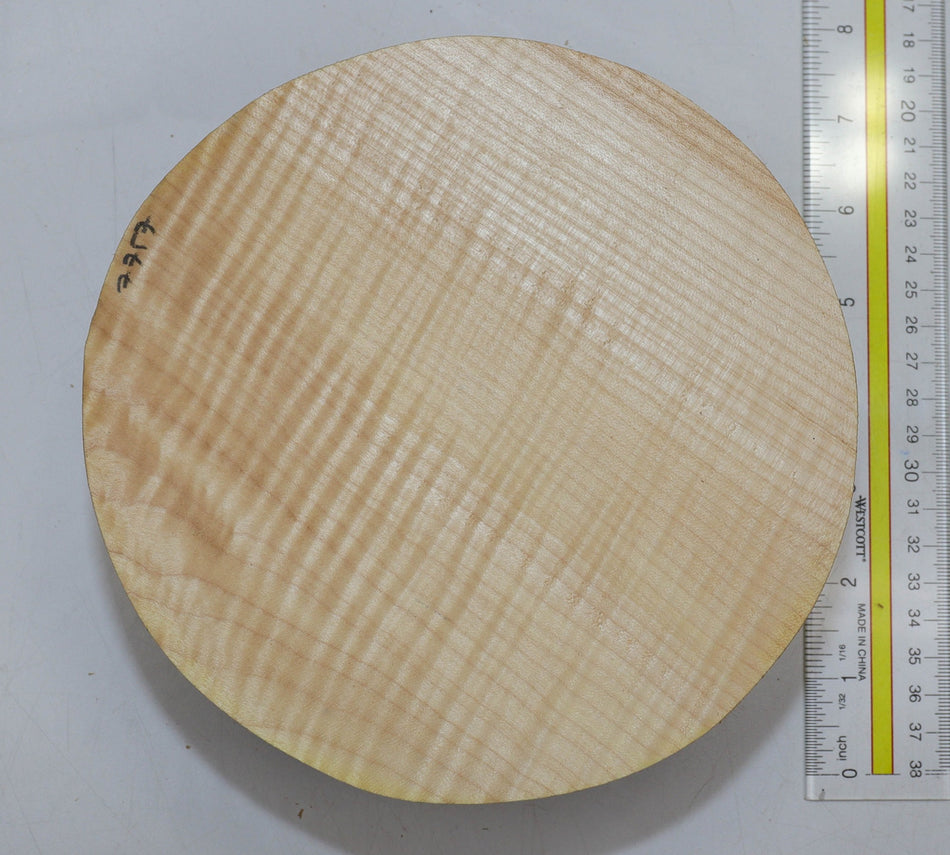 Maple Flame Round 7" diameter x 3" (HIGH FIGURE) - Stock# 5-7757