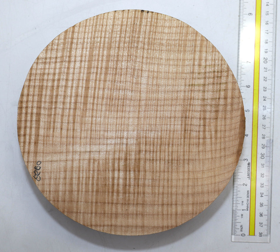 Maple Flame Round 8" diameter x 2.55" (PREMUM FIGURE) - Stock# 5-8260