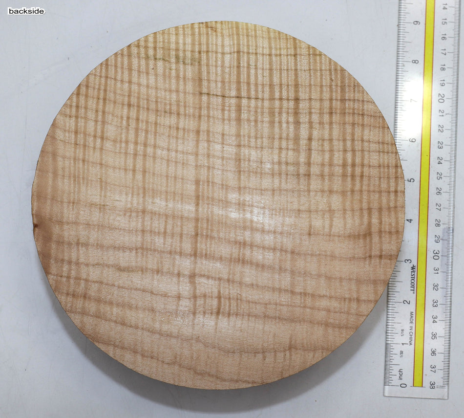 Maple Flame Round 8" diameter x 2.55" (PREMUM FIGURE) - Stock# 5-8260