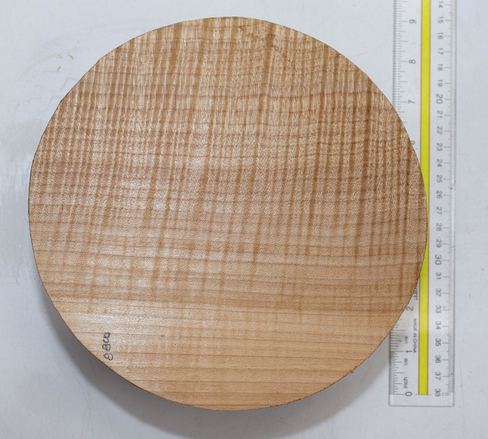 Maple Flame Round 8" diameter x 3.25" (HIGH FIGURE) - Stock# 5-8800