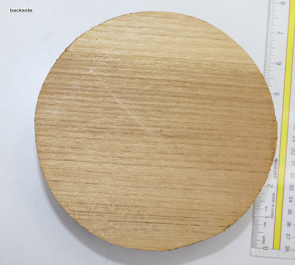Robinia Round 7" diameter x 2.4" - Stock# 5-8954