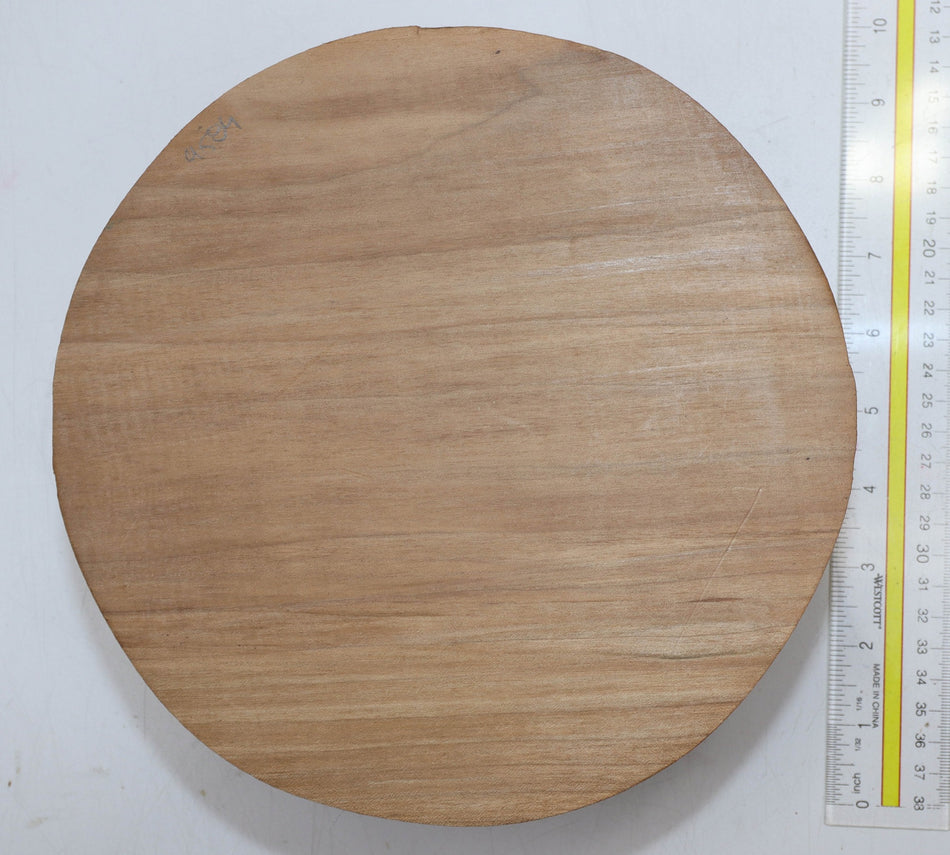 Maple Round 9" diameter x 3.5" - Stock# 5-9584