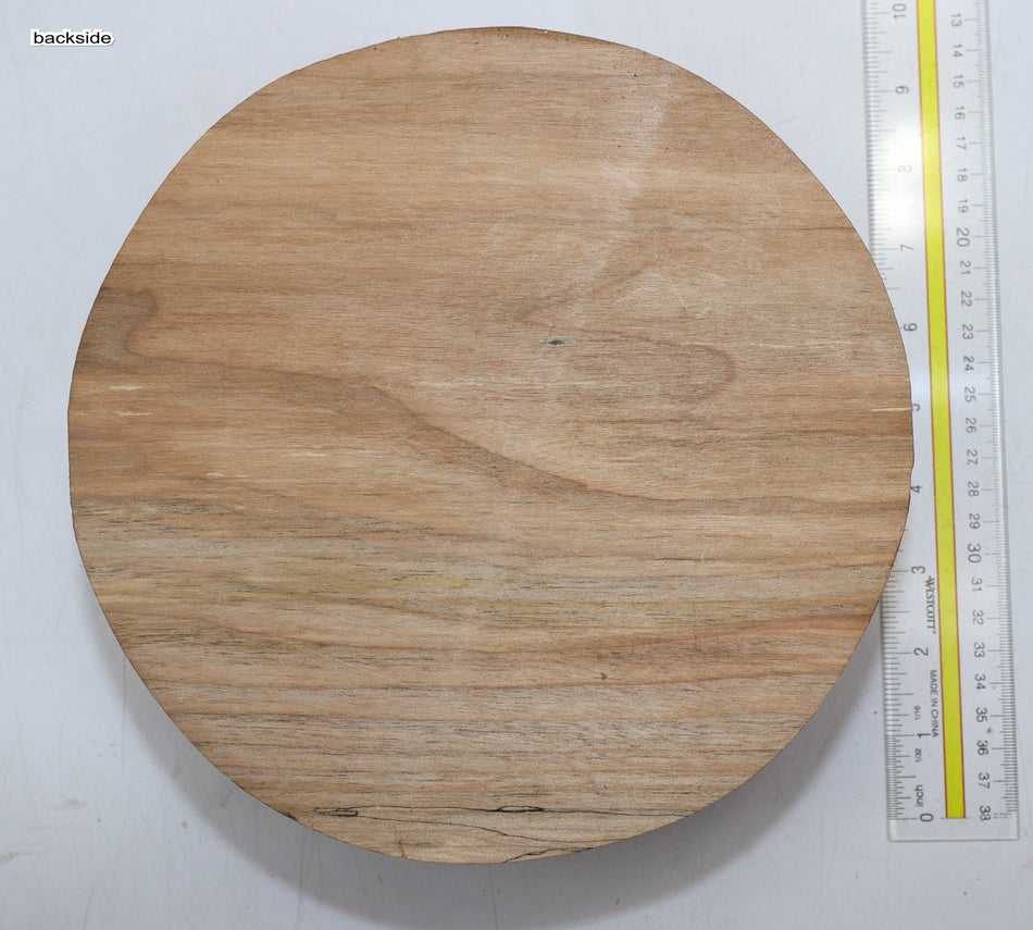 Maple Round 9" diameter x 3.5" - Stock# 5-9584