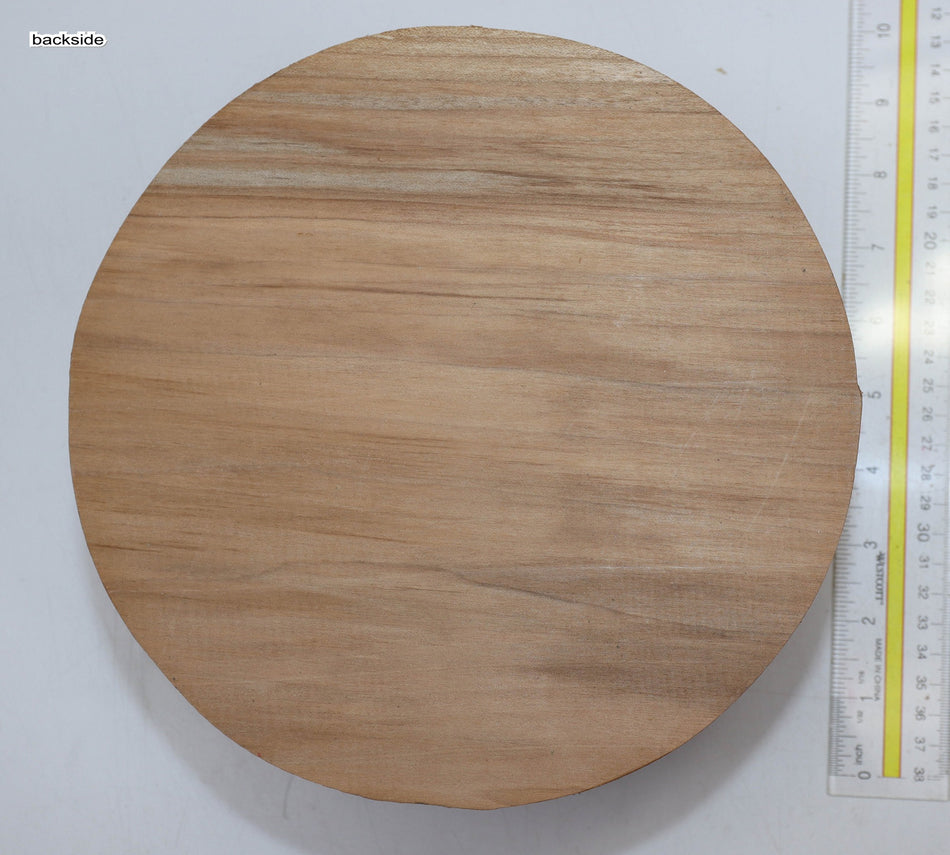 Maple Round 9" diameter x 4" - Stock# 5-9601