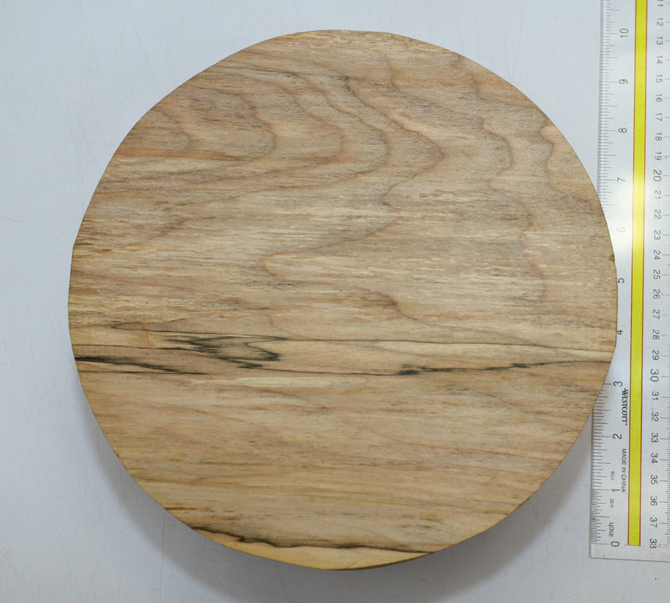 Maple Round 8.75" diameter x 4" - Stock# 6-0813