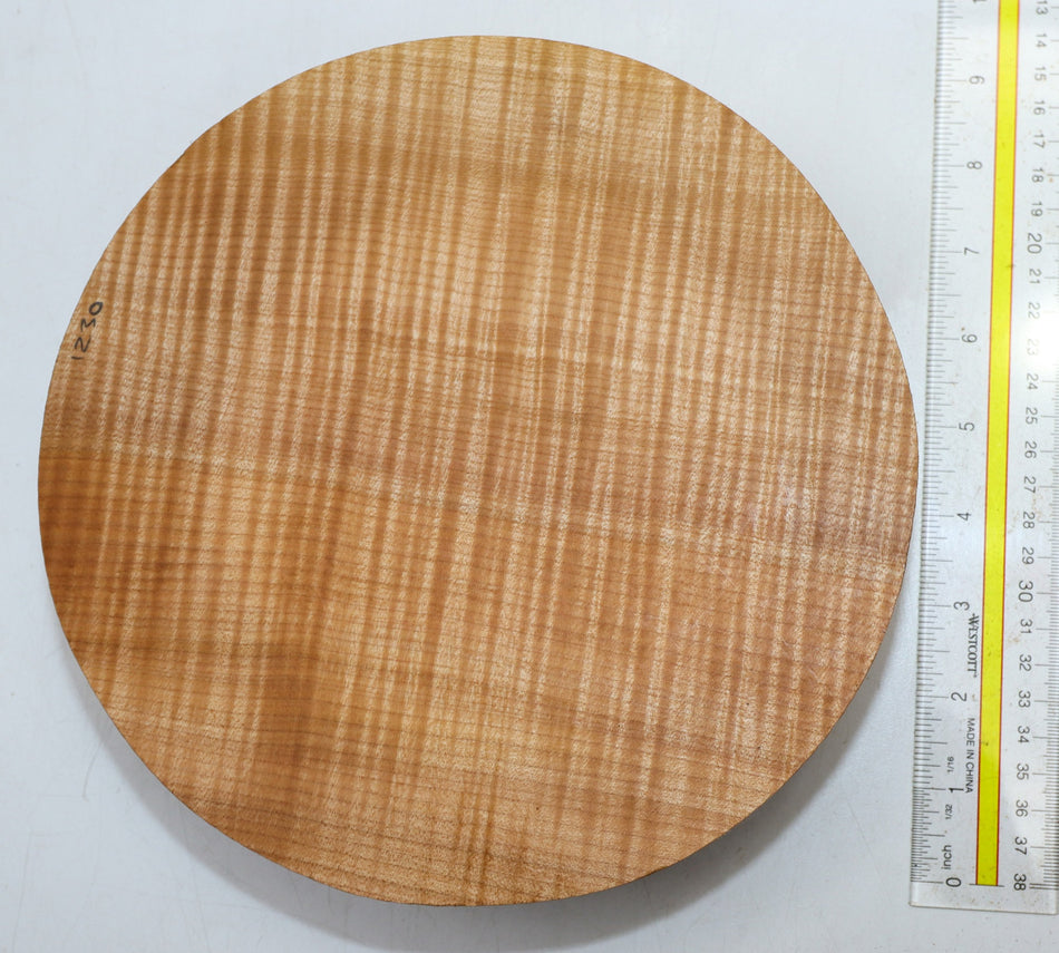 Maple Flame Round 9" diameter x 2.5" (PREMIUM FIGURE) - Stock# 6-1230