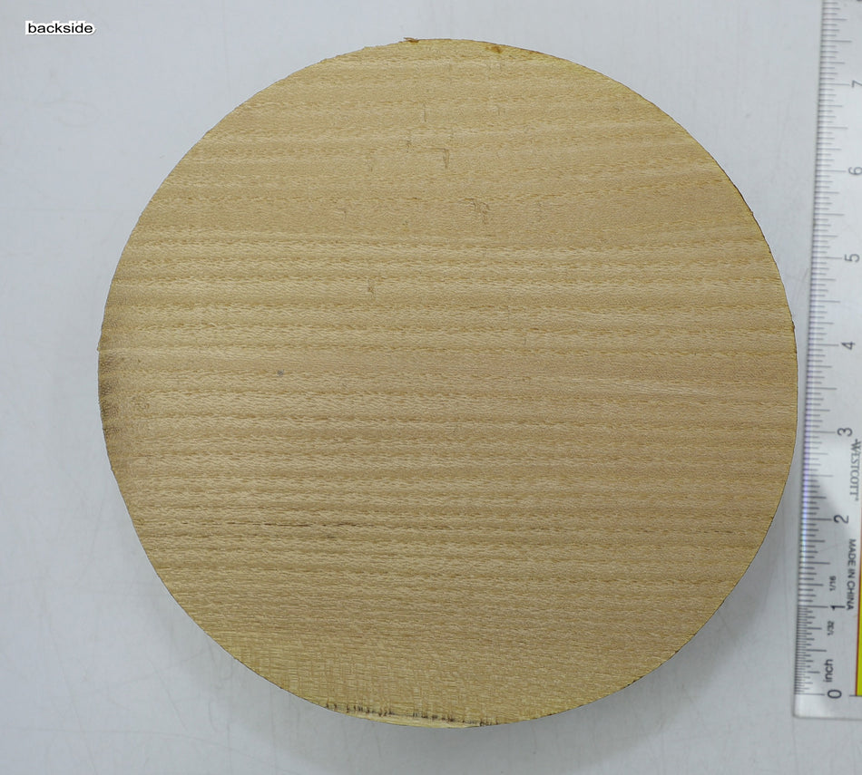 Robinia Round 7" diameter x 2.5" - Stock# 6-2097