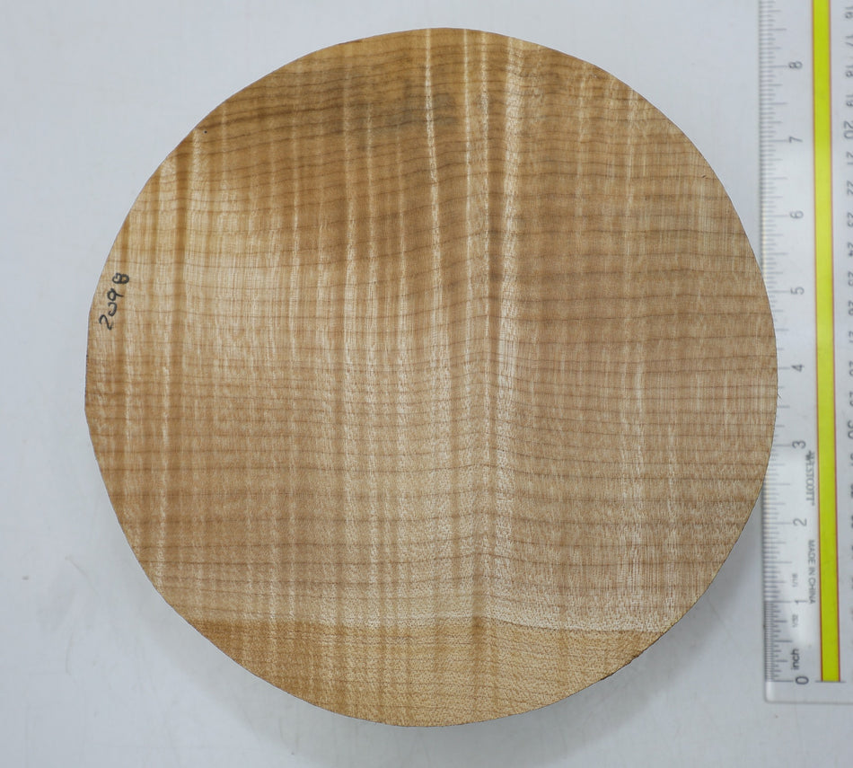 Maple Flame Round 8" diameter x 2.3" - Stock# 6-2098