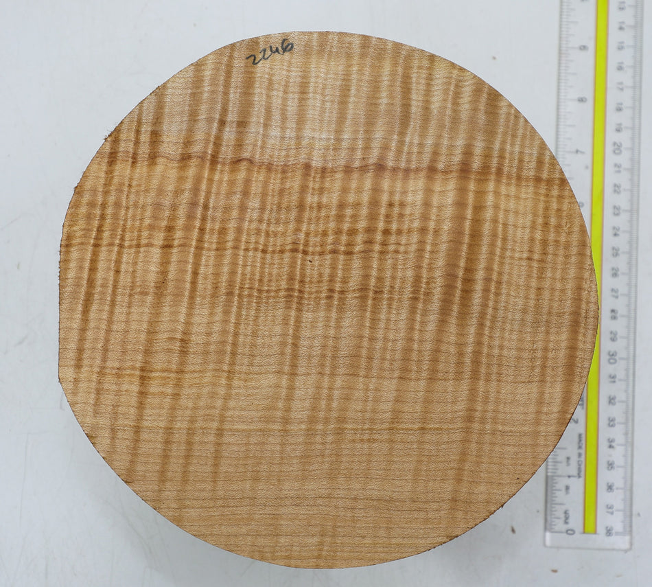 Maple Flame Round 8" diameter x 4" (HIGH FIGURE) - Stock# 6-2246