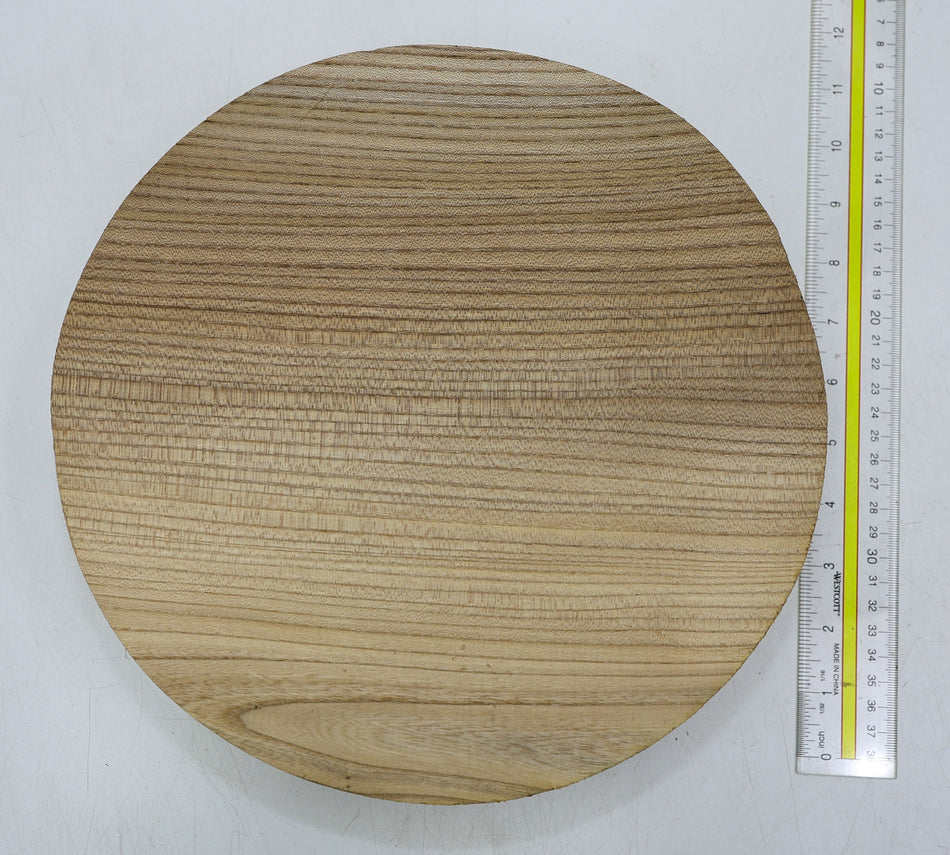 Red Elm Round 11" diameter x 2.5" - Stock# 6-2292
