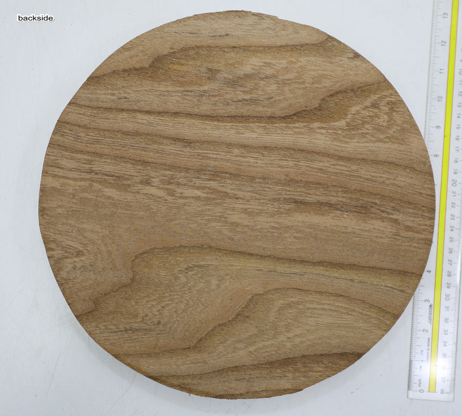 Red Elm Round 12" diameter x 2" - Stock# 6-2372