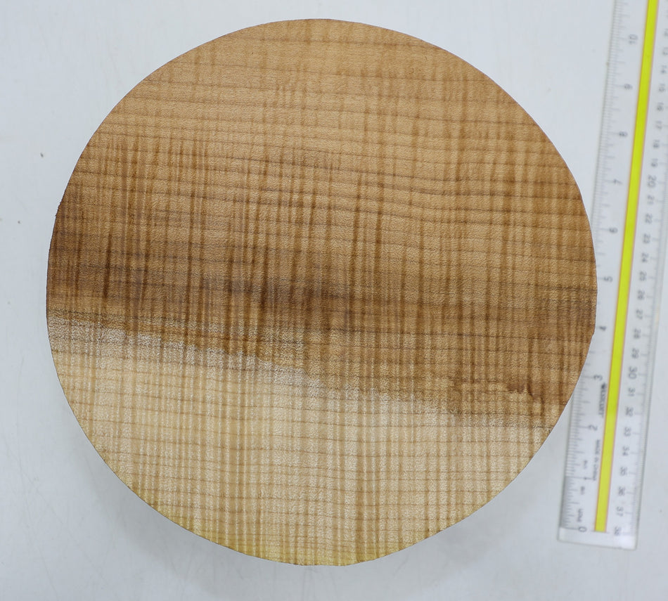 Maple Flame Round 9" diameter x 3.5" (GREAT FIGURE) - Stock# 6-2500