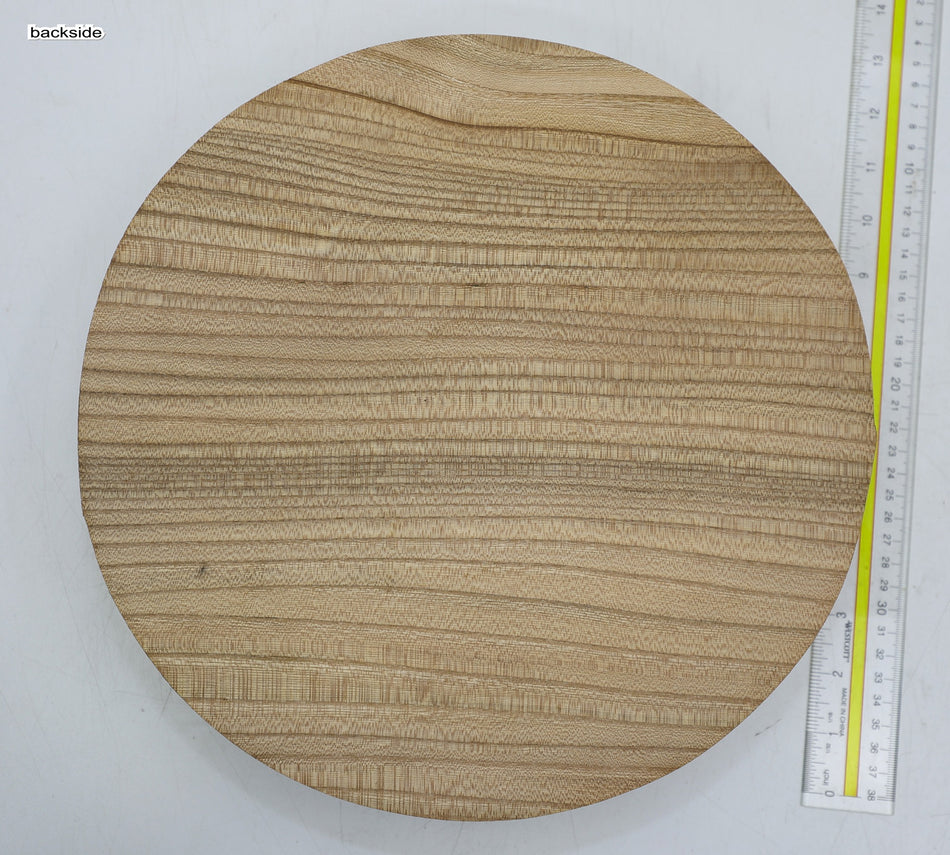 Red Elm Round 12" diameter x 3" - Stock# 6-3744