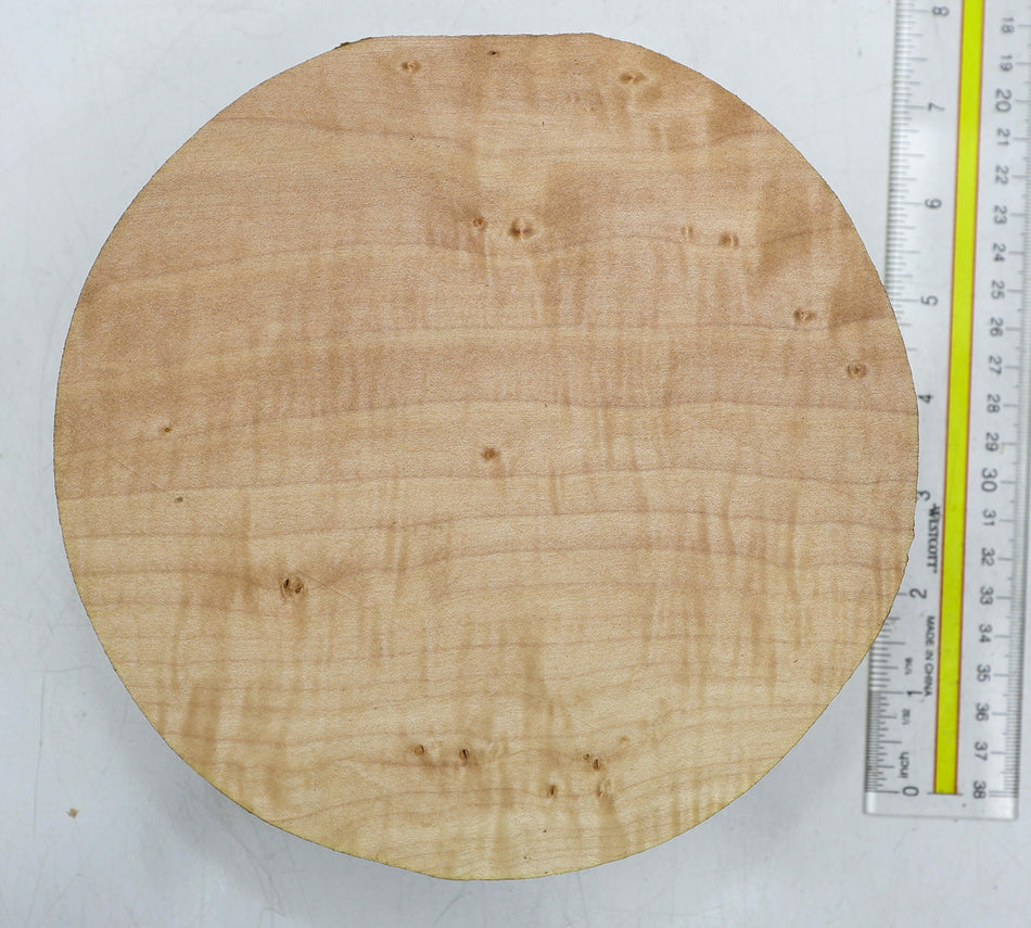 Maple Flame Round 7" diameter x 2.7" - Stock# 6-4107