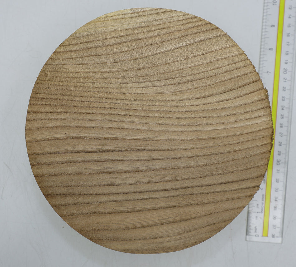 Red Elm Round 9" diameter x 3" - Stock# 6-4142