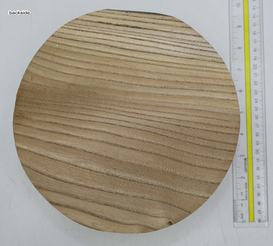 Red Elm Round 9" diameter x 3" - Stock# 6-4142