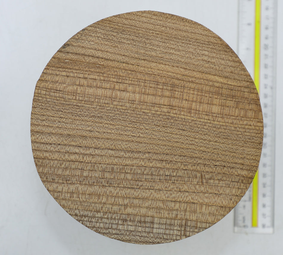 Red Elm Round 7" diameter x 4.4" - Stock# 6-4221