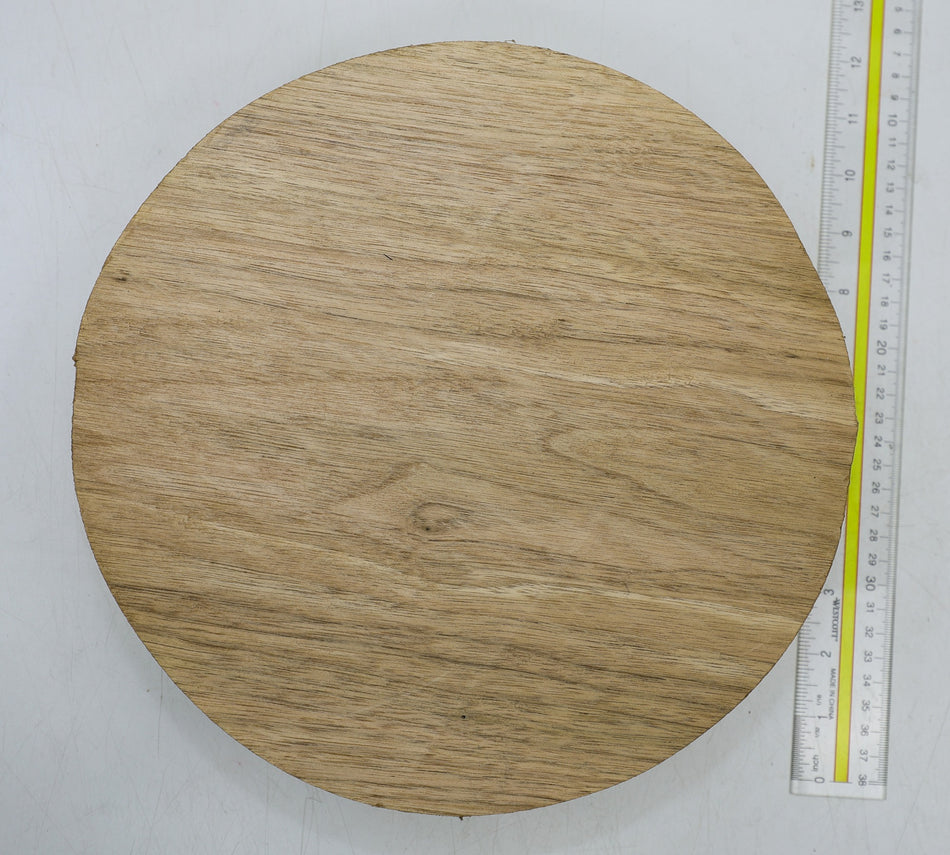 Walnut (Butternut) Round 11" diameter x 3" - Stock# 6-4266
