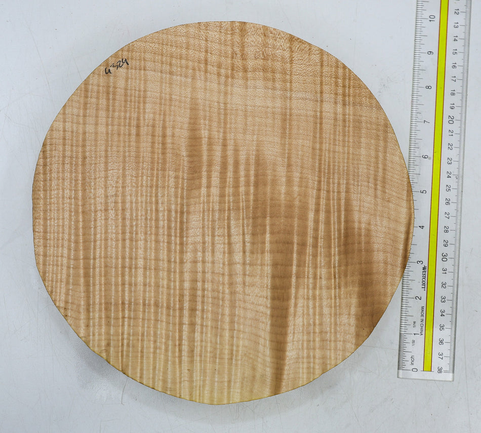 Maple Flame Round 9.5" diameter x 2" (HIGH FIGURE) - Stock# 6-4324