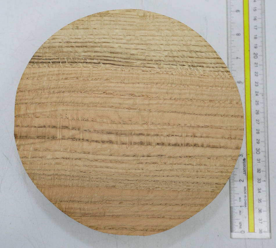 Oak Round 8" diameter x 2.25" - Stock# 6-4347