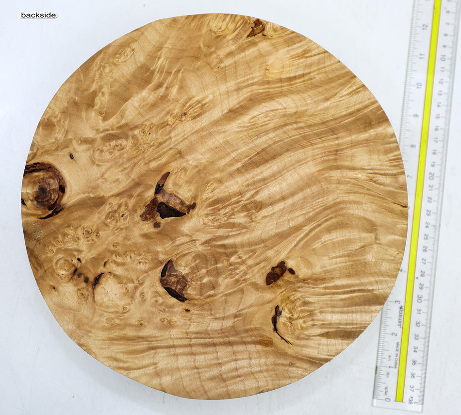 Maple Burl Round 10.5" diameter x 2.6" (GREAT FIGURE) - Stock# 6-4430