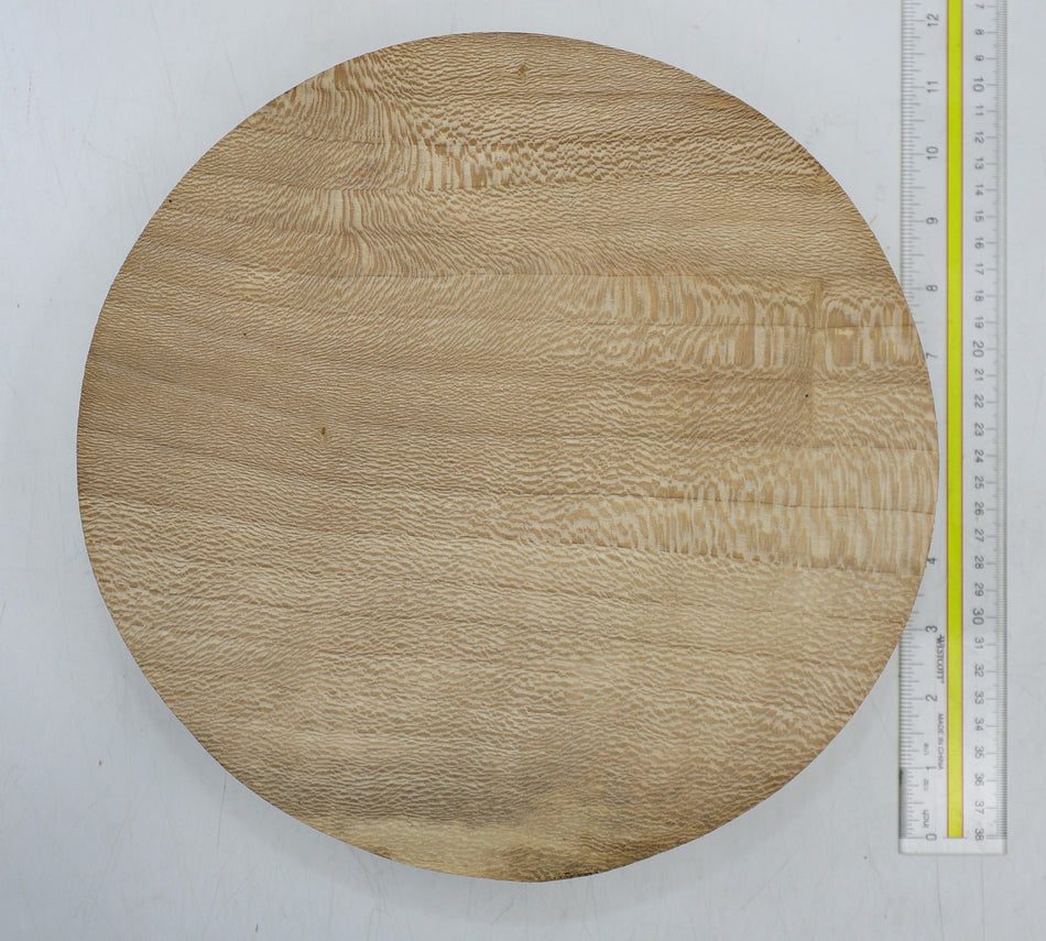 London Plane Round 11" diameter x 2.5" (HIGH FIGURE) - Stock# 6-4439