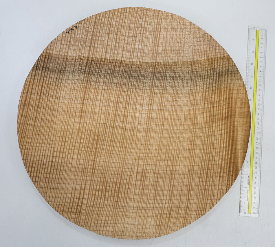 Maple Flame Round 16.5" diameter x 2.3" (PREMIUM FIGURE) - Stock# 6-4597