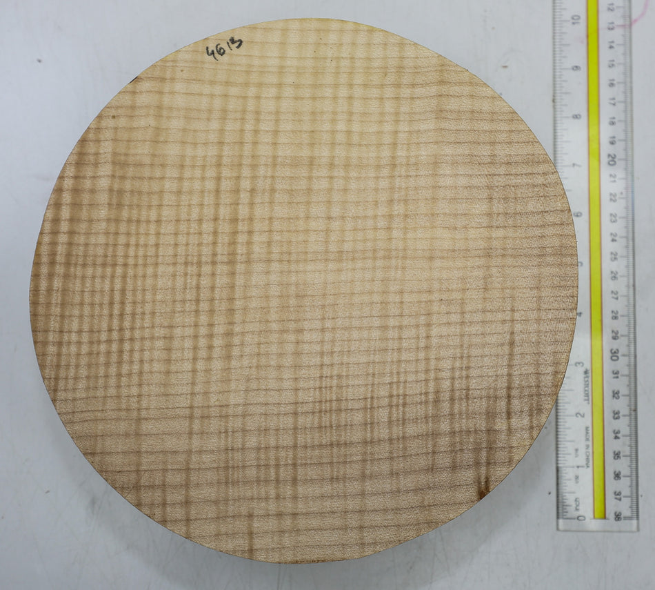 Maple Flame Round 9" diameter x 3.3" (HIGH FIGURE) - Stock# 6-4613