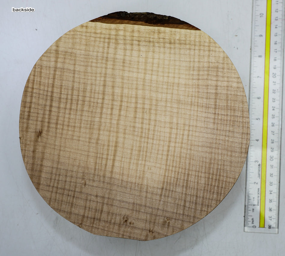 Maple Flame Round 9" diameter x 3.3" (HIGH FIGURE) - Stock# 6-4613