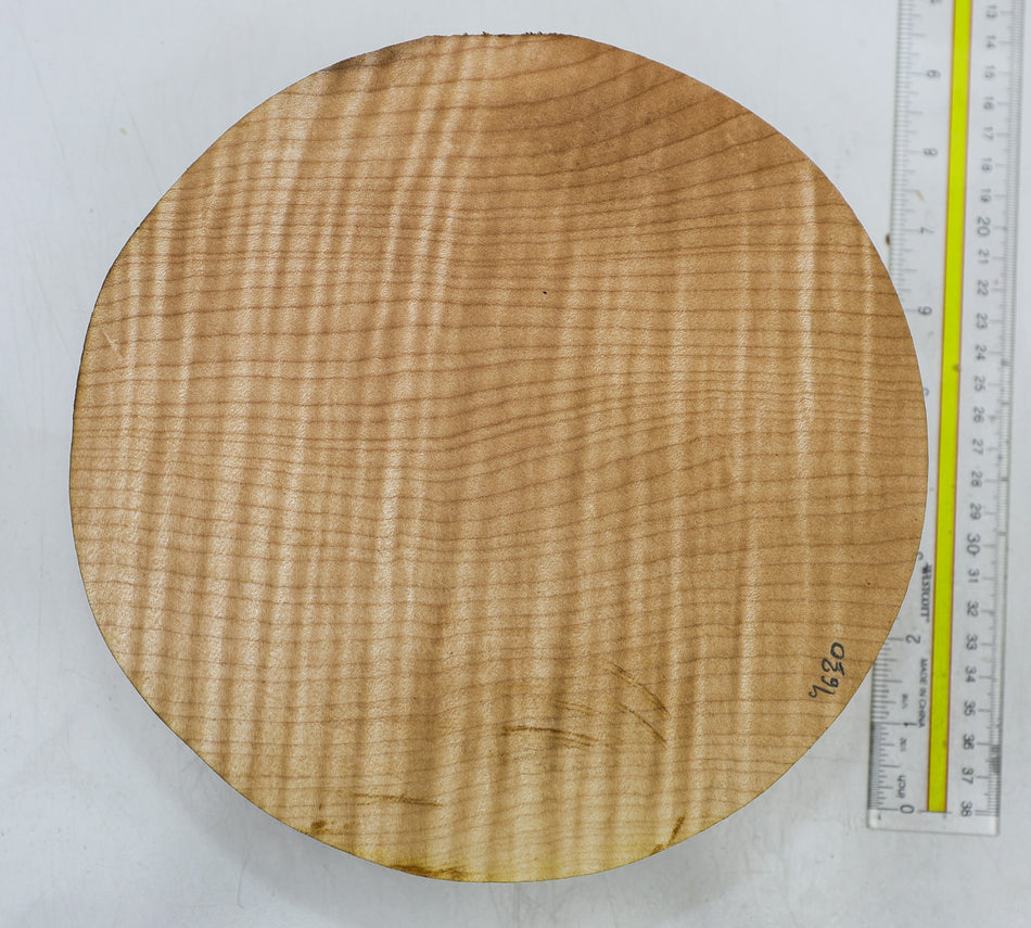 Maple Flame Round 8.5" diameter x 3.1" (GREAT FIGURE) - Stock# 6-4630