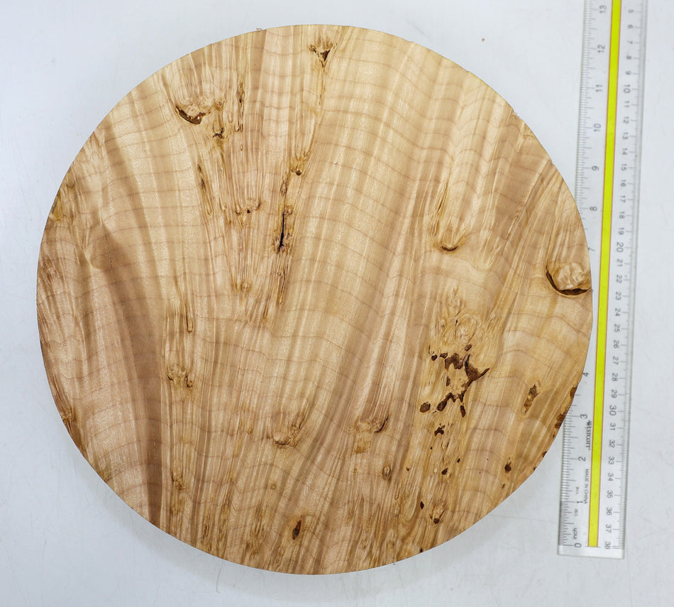 Maple Burl Round 11.5" diameter x 2.6" - Stock# 6-4693