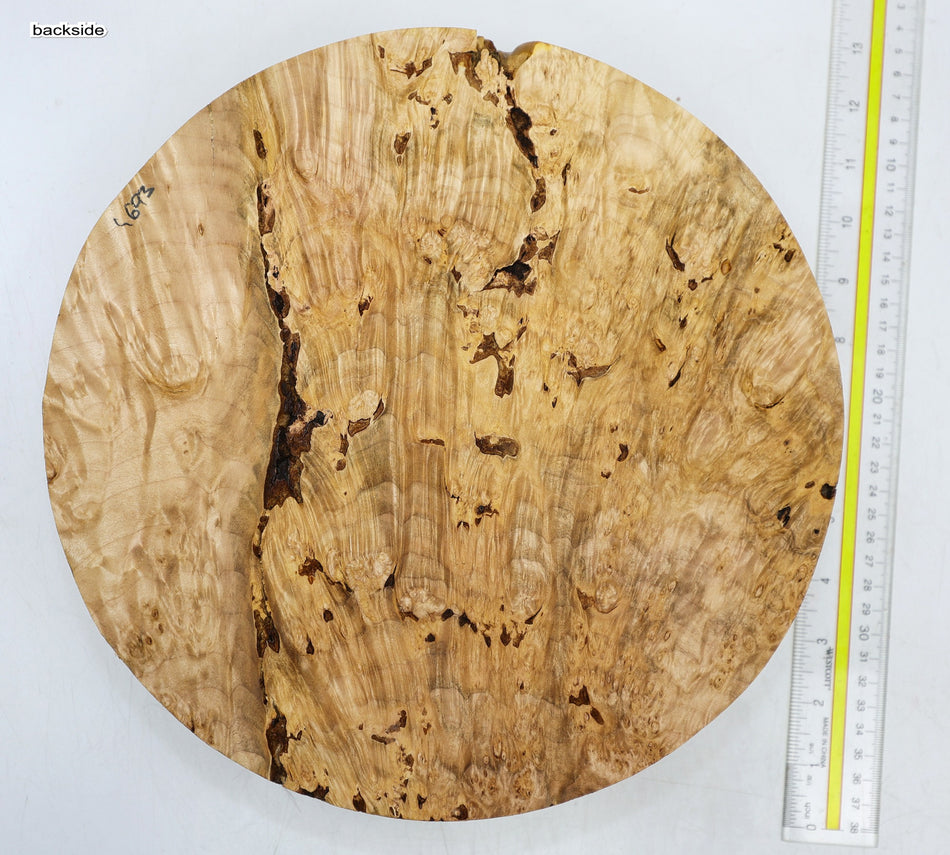 Maple Burl Round 11.5" diameter x 2.6" - Stock# 6-4693