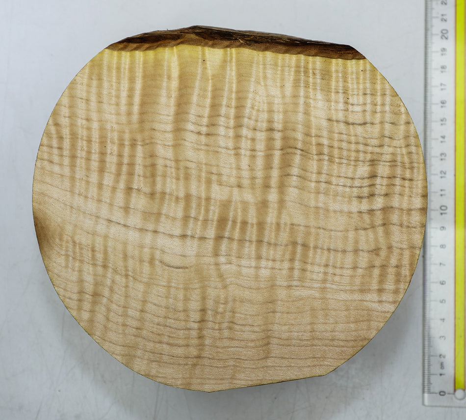 Maple Flame Round 7" diameter x 3.25" (HIGH FIGURE) - Stock# 6-4723