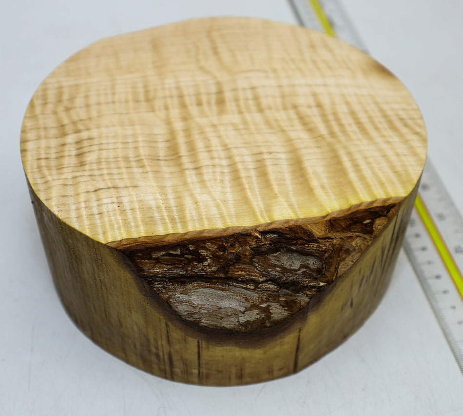 Maple Flame Round 7" diameter x 3.25" (HIGH FIGURE) - Stock# 6-4723