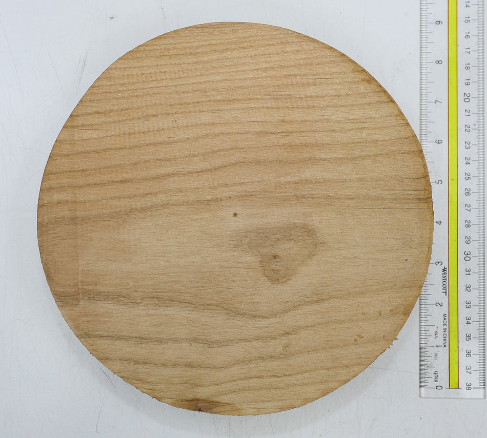 Alder Round 8.5" diameter x 1.9" - Stock# 6-4772