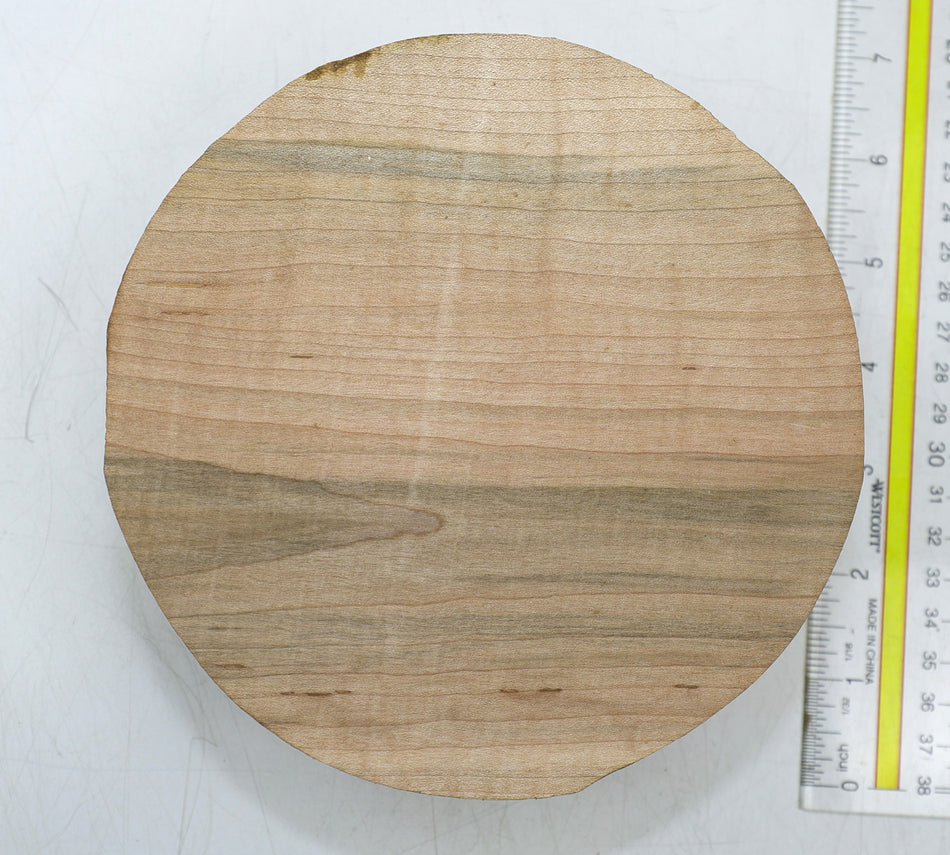 Red Maple Round 6" diameter x 2.1" - Stock# 6-4838