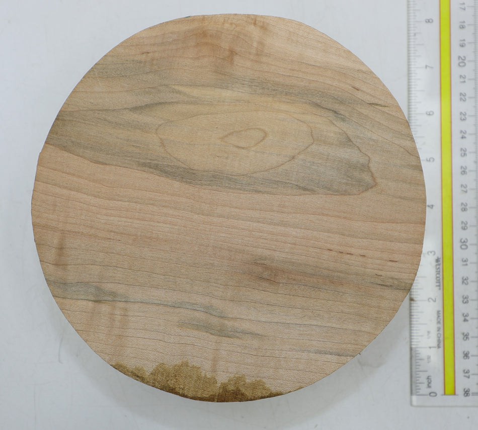 Red Maple Round 7" diameter x 2.15" - Stock# 6-5029