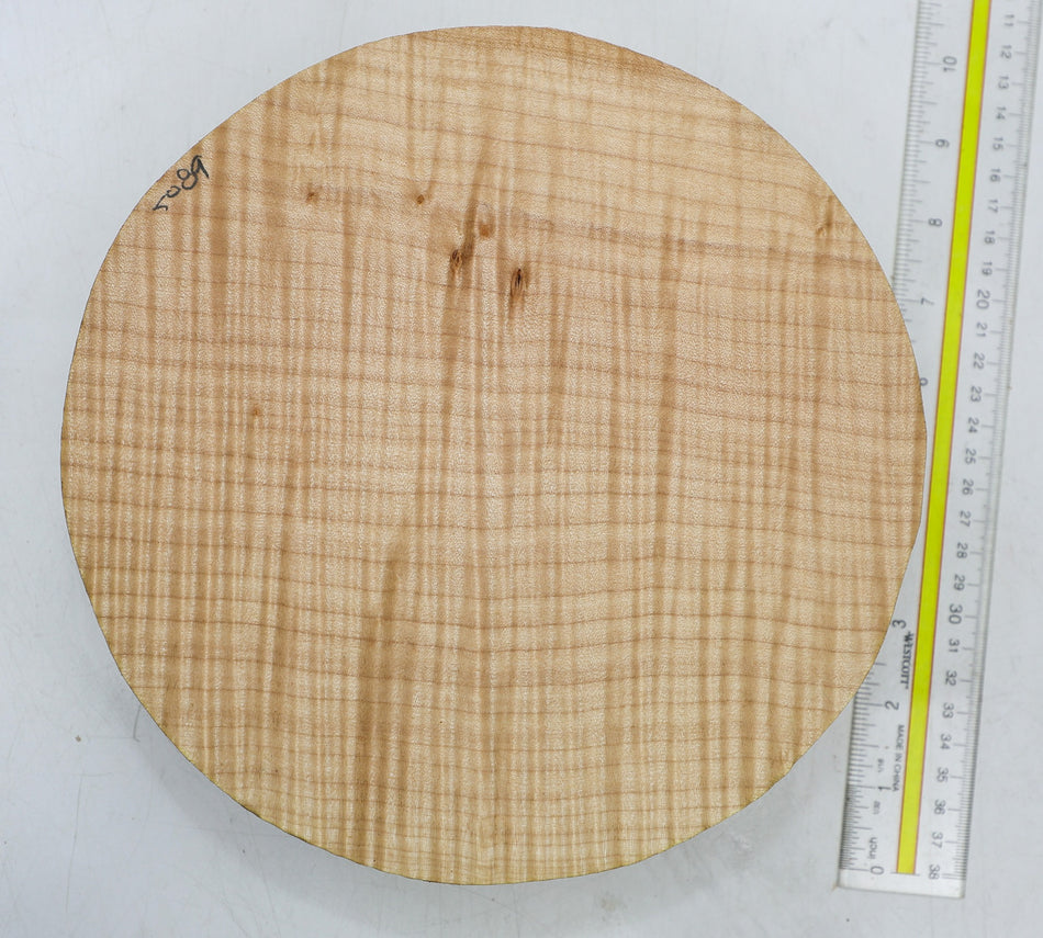 Maple Flame Round 9" diameter x 2.7" (GREAT FIGURE) - Stock# 6-5089