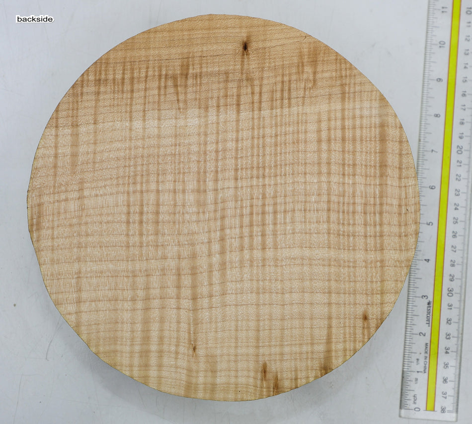 Maple Flame Round 9" diameter x 2.7" (GREAT FIGURE) - Stock# 6-5089