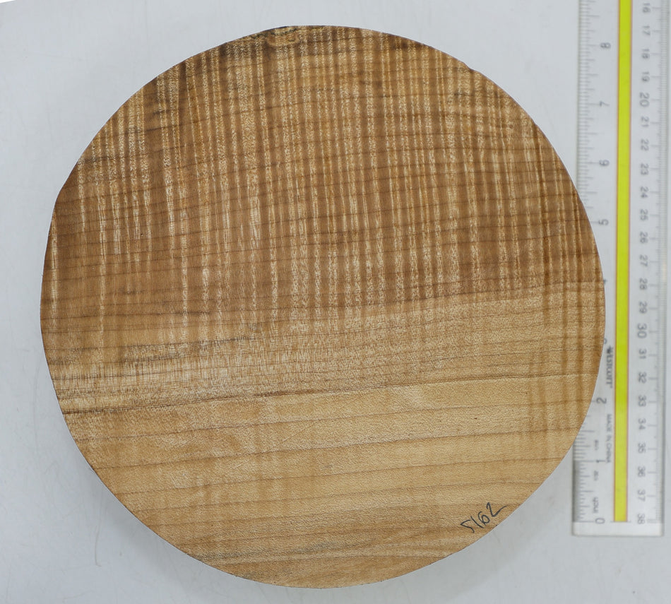 Maple Flame Round 8" diameter x 2.35" (GREAT FIGURE) - Stock# 6-5162