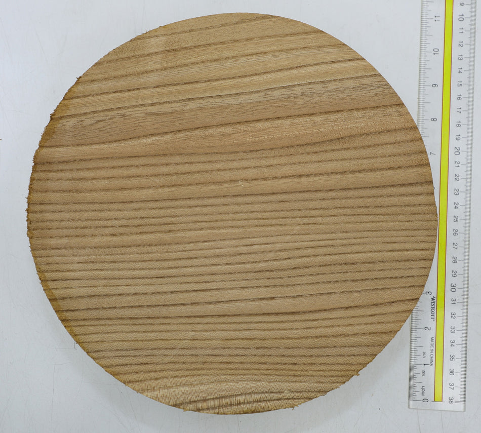 Red Elm Round 9" diameter x 3" - Stock# 6-5180