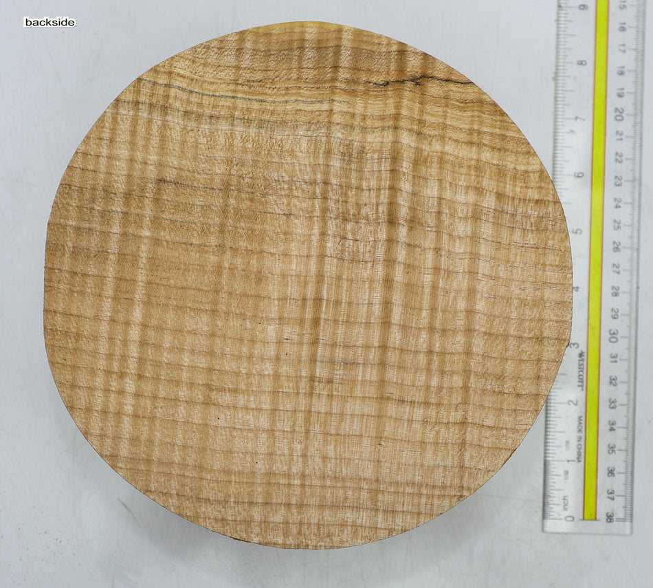 Maple Flame Round 8" diameter x 2.8" (GREAT FIGURE) - Stock# 6-5195