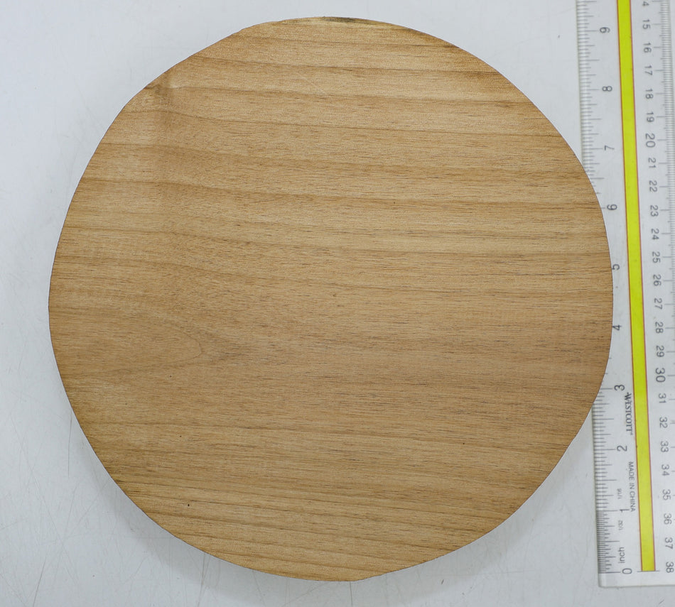 Alder Round 8" diameter x 1.9" - Stock# 6-5269