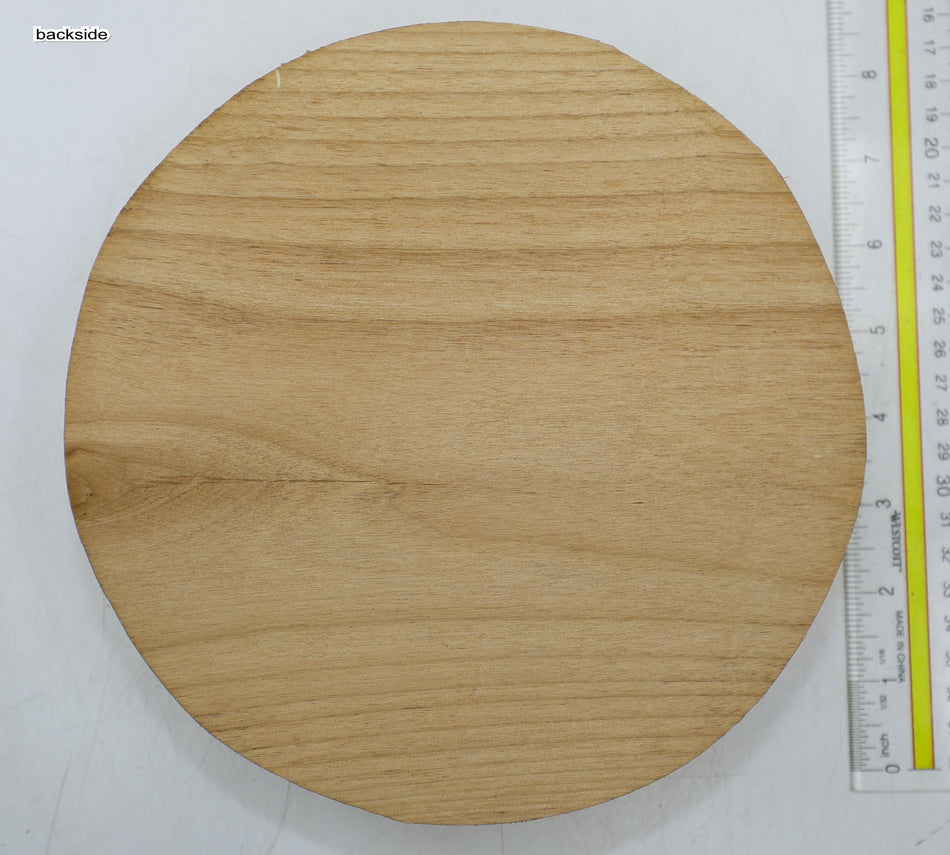 Alder Round 8" diameter x 1.9" - Stock# 6-5269