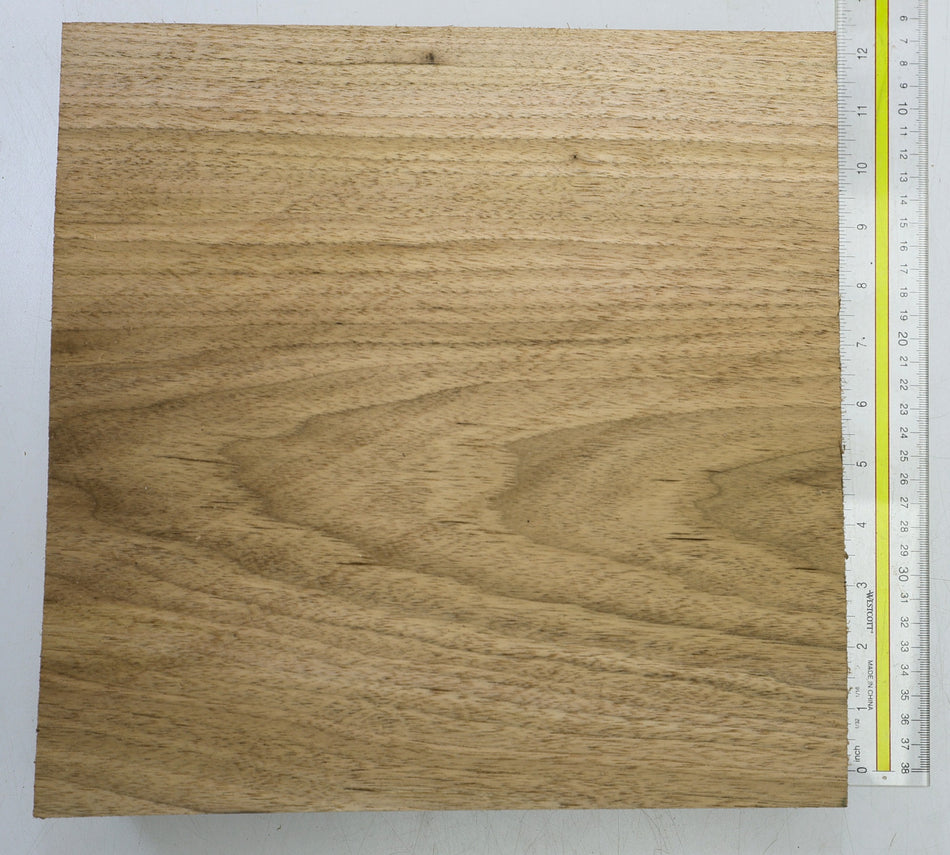 Walnut (Butternut) Block 11" x 11" x 3" - Stock# 6-5639