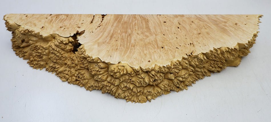 Maple Burl block 21" x 6" x 2.7" (HIGH FIGURE) - Stock# 6-5668