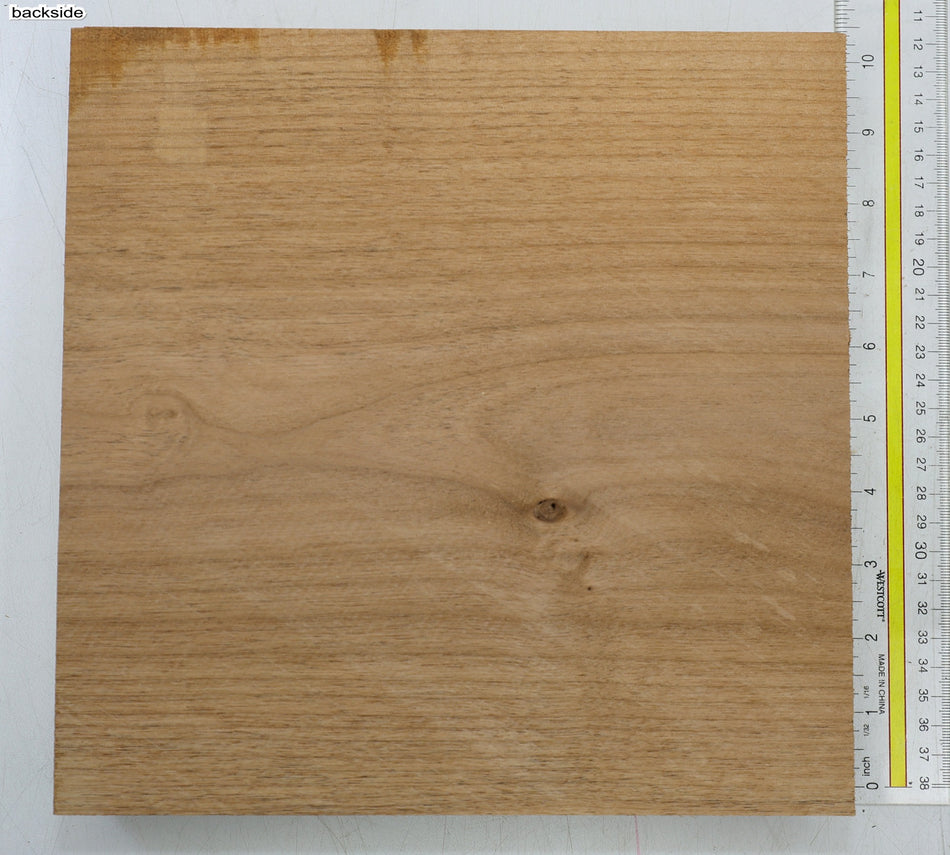 Alder Block 9" x 9" x 1.9" - Stock# 6-5738