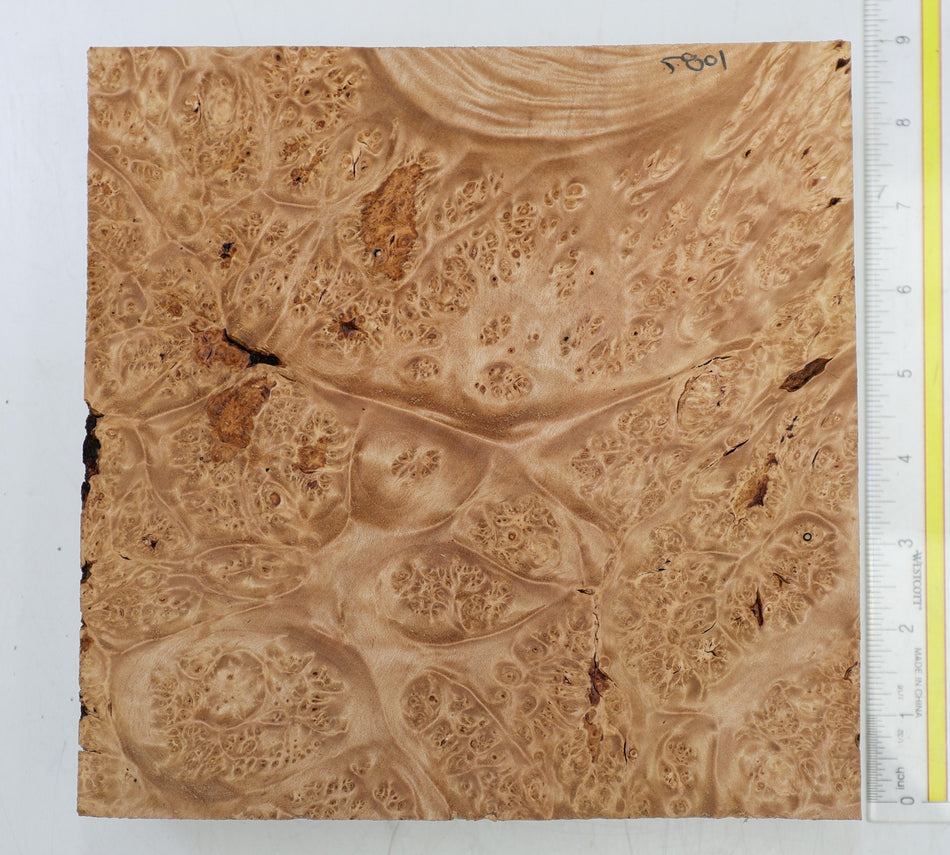 Maple Burl Square 8" x 8" x 2" (GREAT FIGURE) - Stock# 6-5801